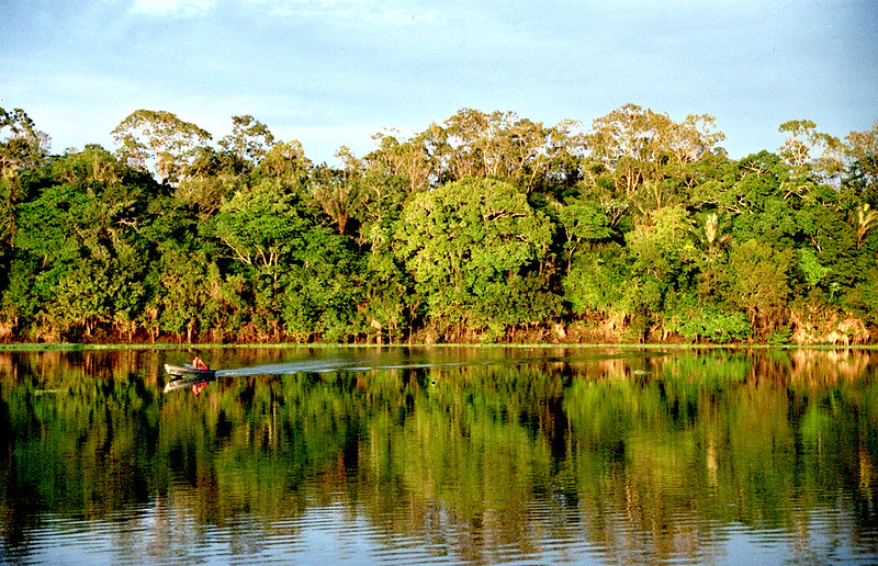 Rio Urubu na Amazônia com diversas árvores ao fundo.